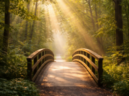 A bridge leading off into the distance under the sun to signify Preventative health & Disease risk reduction on the Verniero Commission webpage